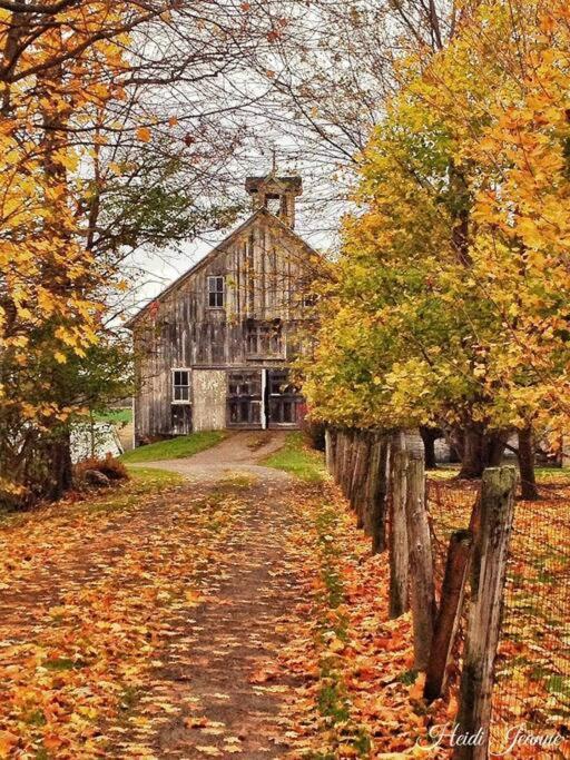 Panther Mountain Lodge Phoenicia Exterior foto